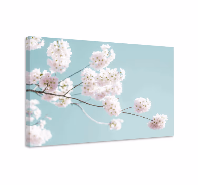 Leinwandbild sakura blüte stängel - TenStickers