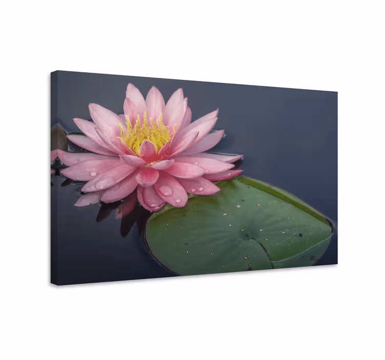 Leinwandbild seerosenblüte - TenStickers