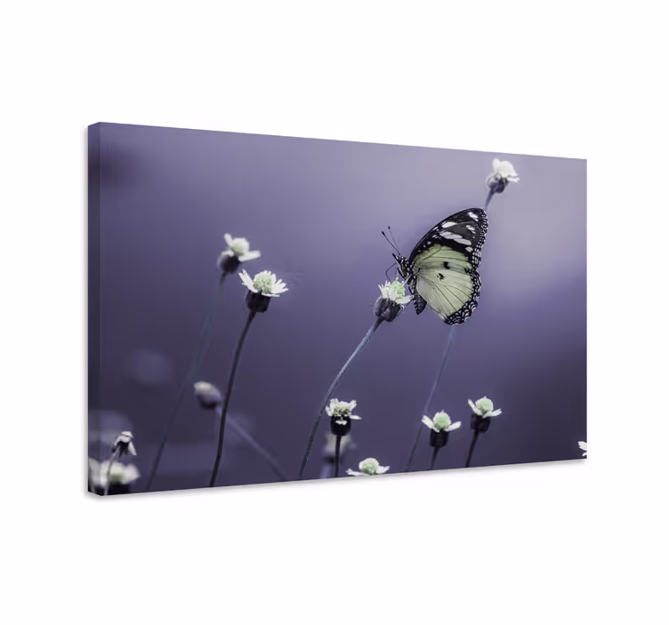 Wandbild schmetterling zwischen blumen - TenStickers