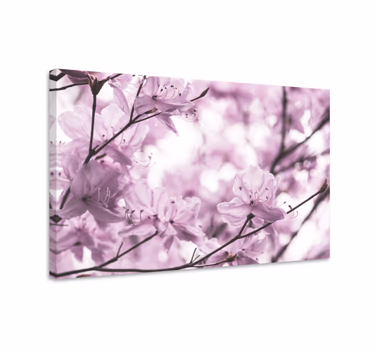 Leinwandbild zarte blumenblüten - TenStickers