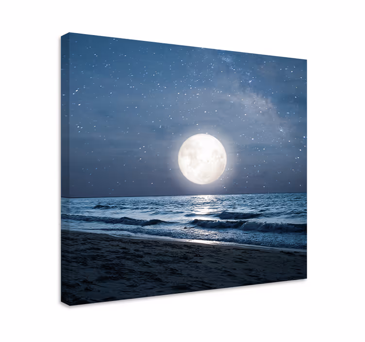 Wandbilder Landschaft Schönes mondlicht über dem ozean vollmond - TenStickers