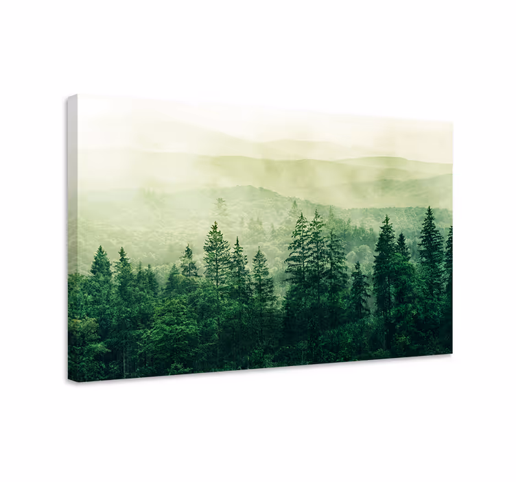 Wandbilder Landschaft Baumkronen des grünen waldhügels - TenStickers