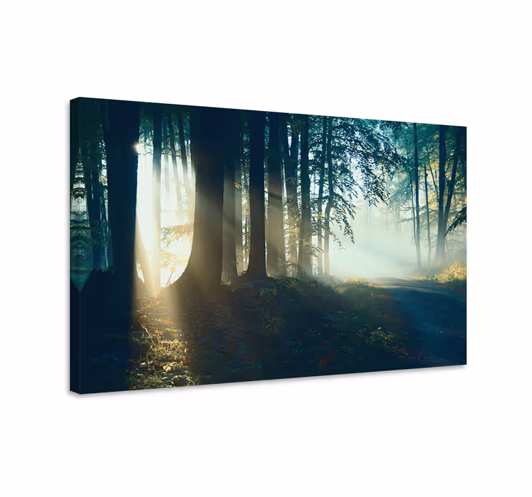 Wandbilder landschaft nebeliger waldweg - TenStickers