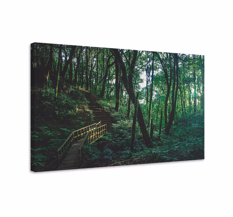 Wandbilder Landschaft Schöne grüne baumlandschaft - TenStickers