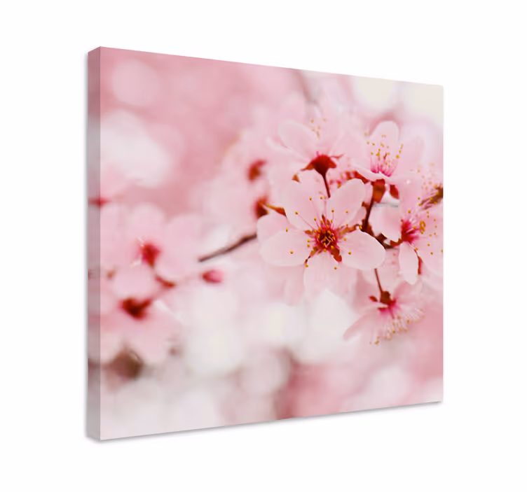 Leinwandbild Blume Rosa blütenfotografie kunst - TenStickers
