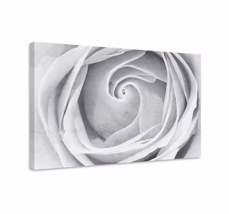 3D Wandbilder Marmorrose mit 3d-effekt - TenStickers