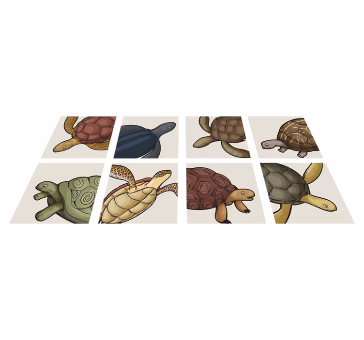 Vinyl teppich tiere mit verschiedenen schildkrötenmotiven - TenStickers