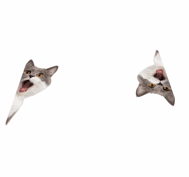Vinyl teppich tiere katze auf weißem hintergrund - TenStickers