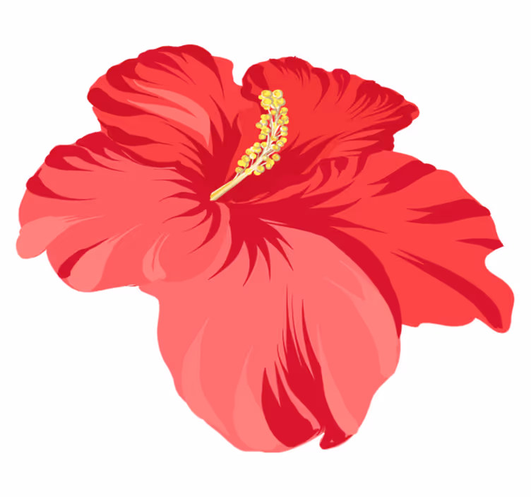 Vinyl teppich blumen rotes hibiskusblüten-set - TenStickers