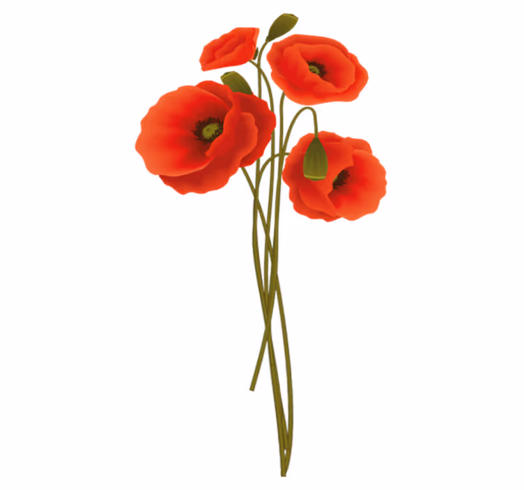 Vinyl teppich bad zarte mohnblumen - TenStickers