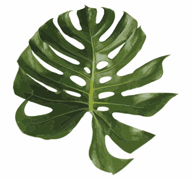 Vinyl teppich blumen mit köstlichem monstera blatt - TenStickers