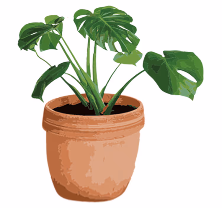 Vinyl teppich blumen mit einfachem monstera topf - TenStickers