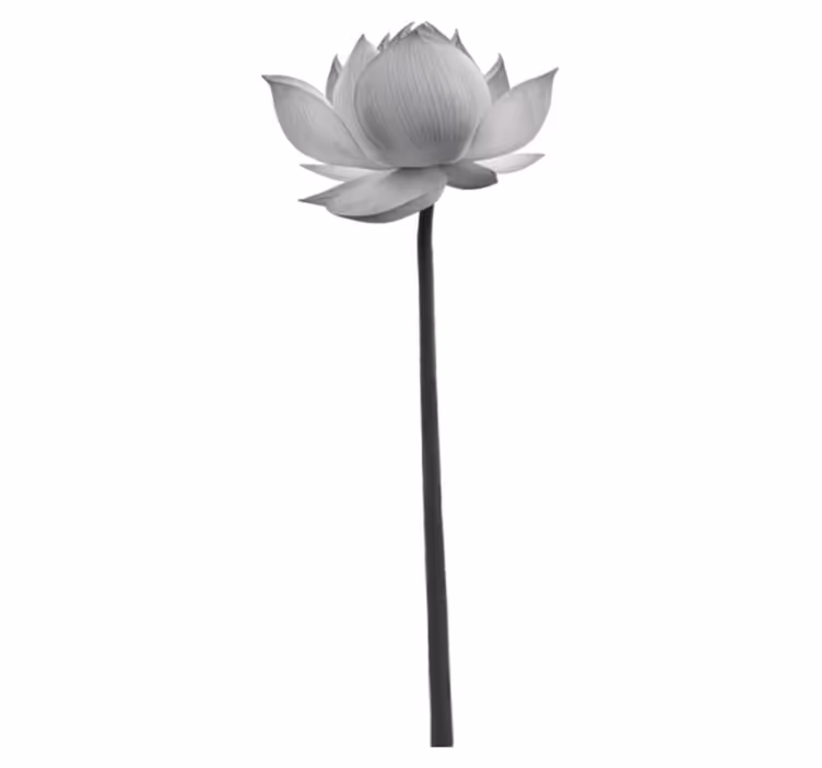 Vinyl teppich schlafzimmer lotusblume alleinstehend - TenStickers