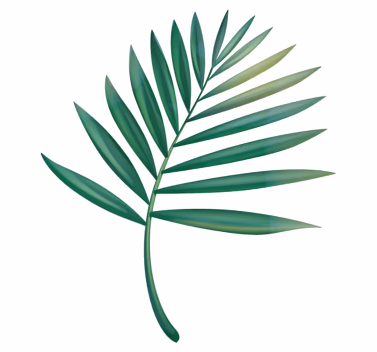 Vinyl teppich bad blatt palme - TenStickers