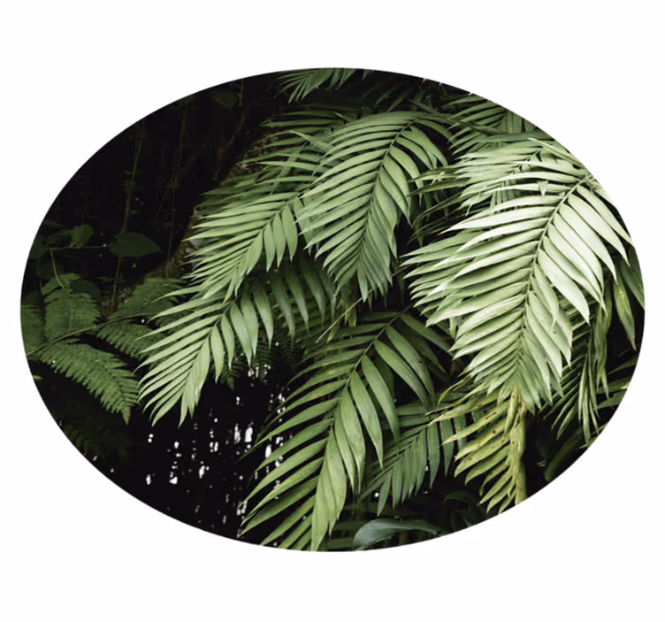 Vinyl Teppich Blumen tropischer laubkreis - TenStickers