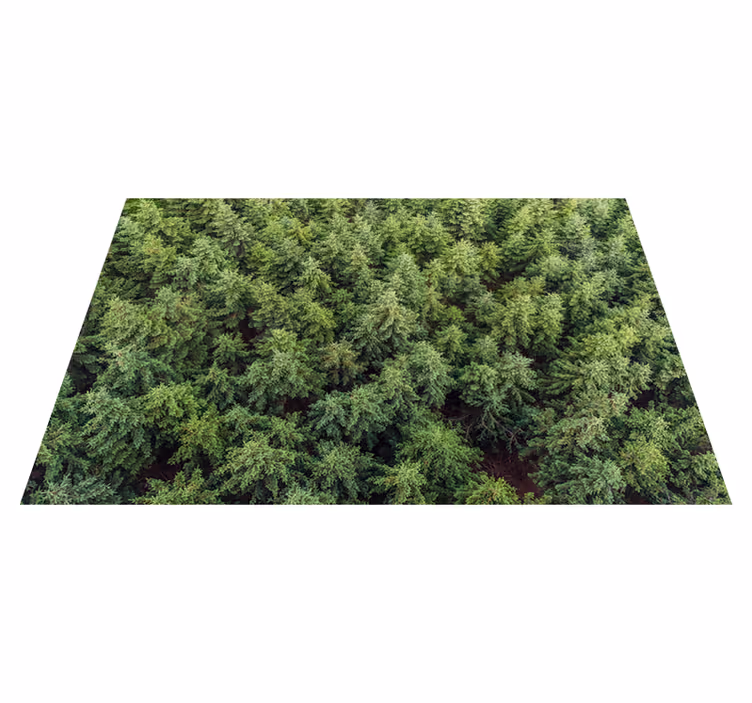 Vinylteppich Natur für wohnzimmer wald - TenStickers