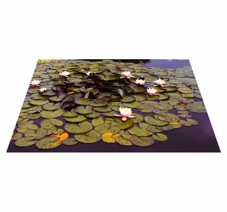 Vinyl Teppich Blumen seerosenteich schönheit - TenStickers