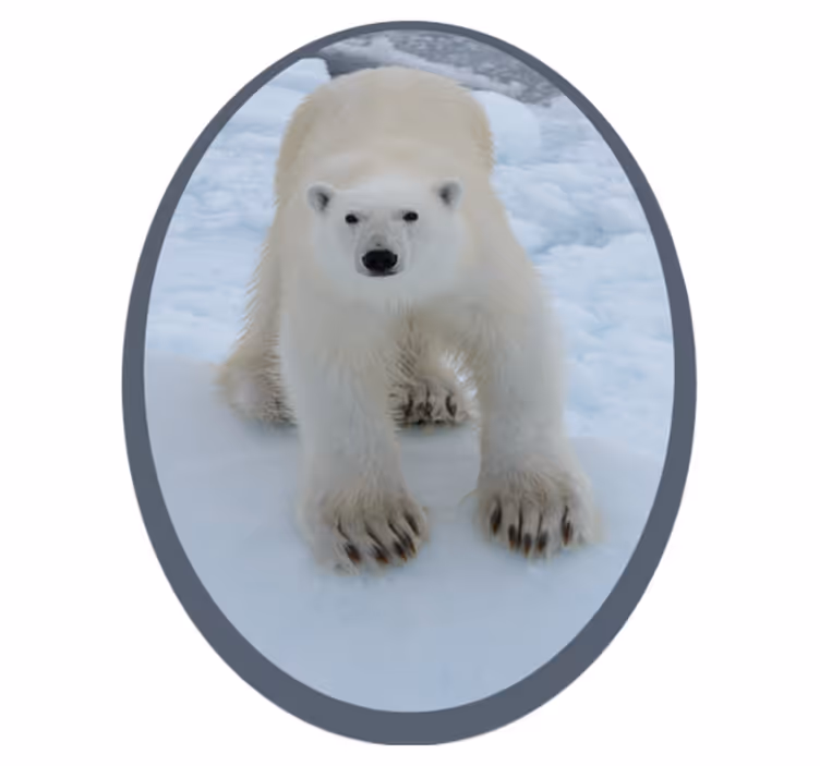 Vinyl Teppich Tiere eisbärbild - TenStickers
