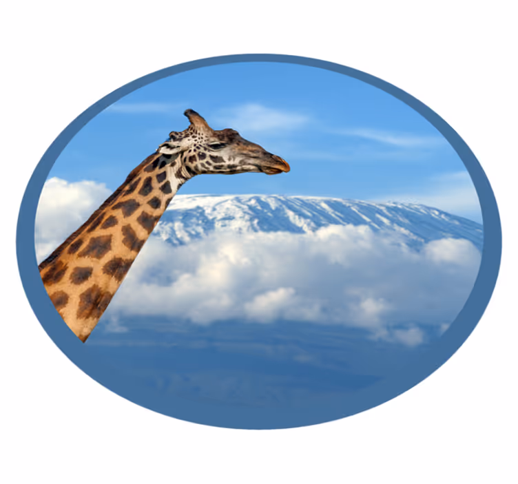 Vinyl Teppich Tiere majestätische giraffenansicht - TenStickers
