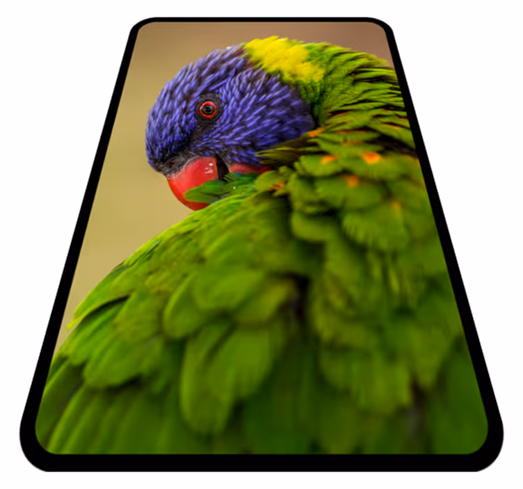 Vinylteppich Tiere Regenbogenpapagei - TenStickers