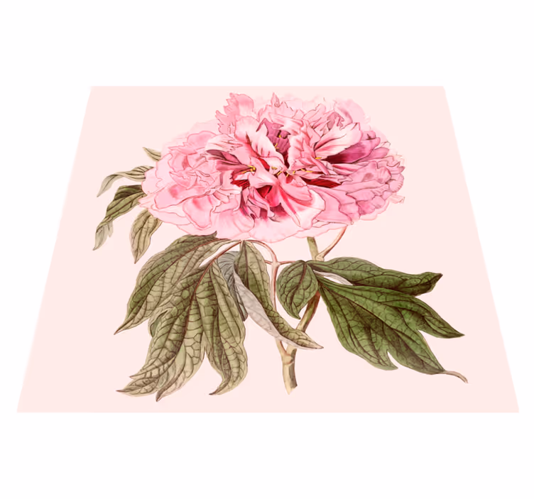 Vinyl teppich blumen pfingstrose pink - TenStickers