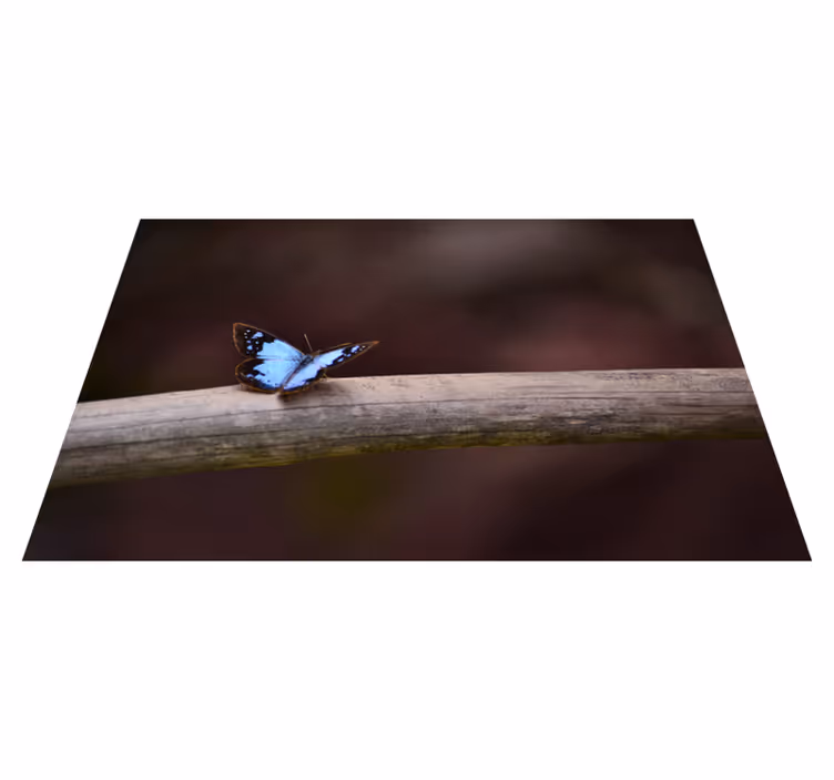 Vinyl teppich natur schmetterling auf ast - TenStickers