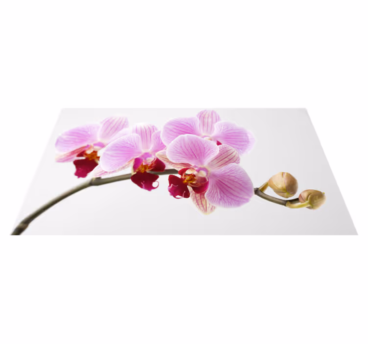 Vinyl Teppich Blumen rosa orchideen-design - TenStickers