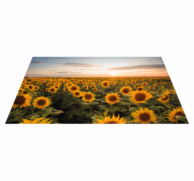 Vinylteppich Blumen Sonne blume sonnenaufgang - TenStickers