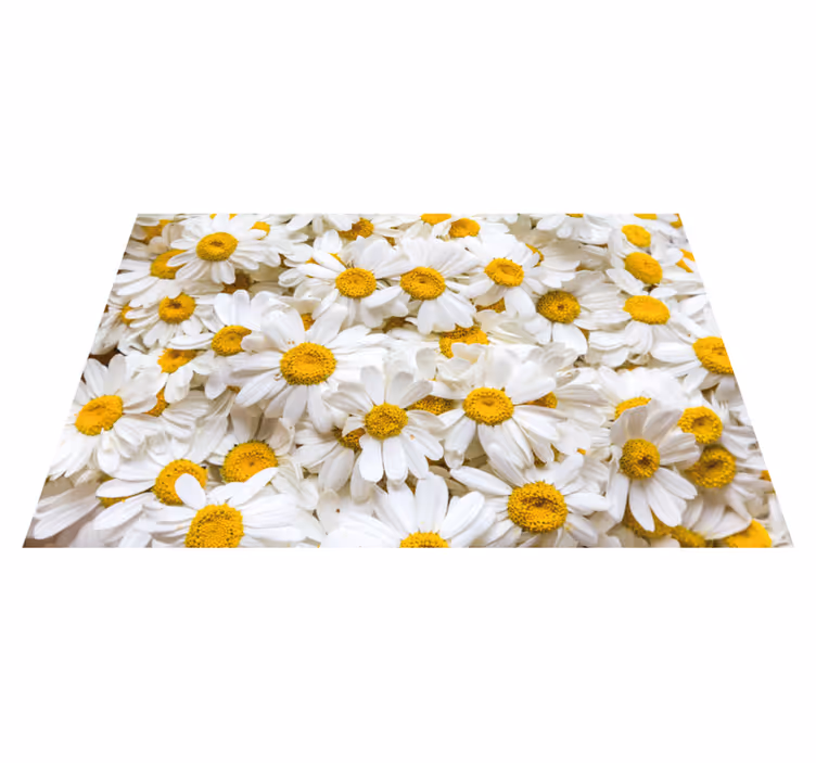 Vinylteppich Blumen Gänseblümchen blüht Bild - TenStickers