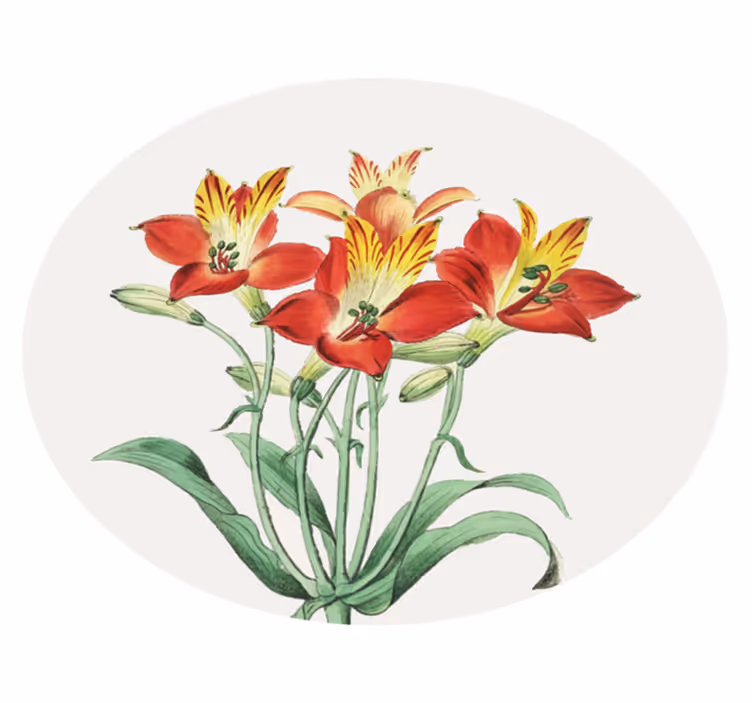 Vinyl Teppich Blumen lebendige rote blüten - TenStickers