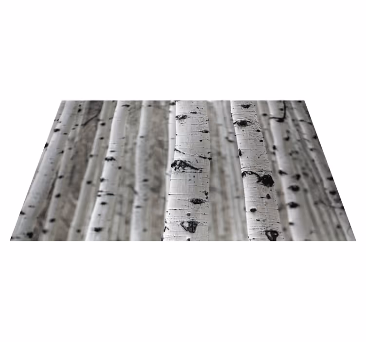 Vinylteppich Textur Weißer birkenwald - TenStickers