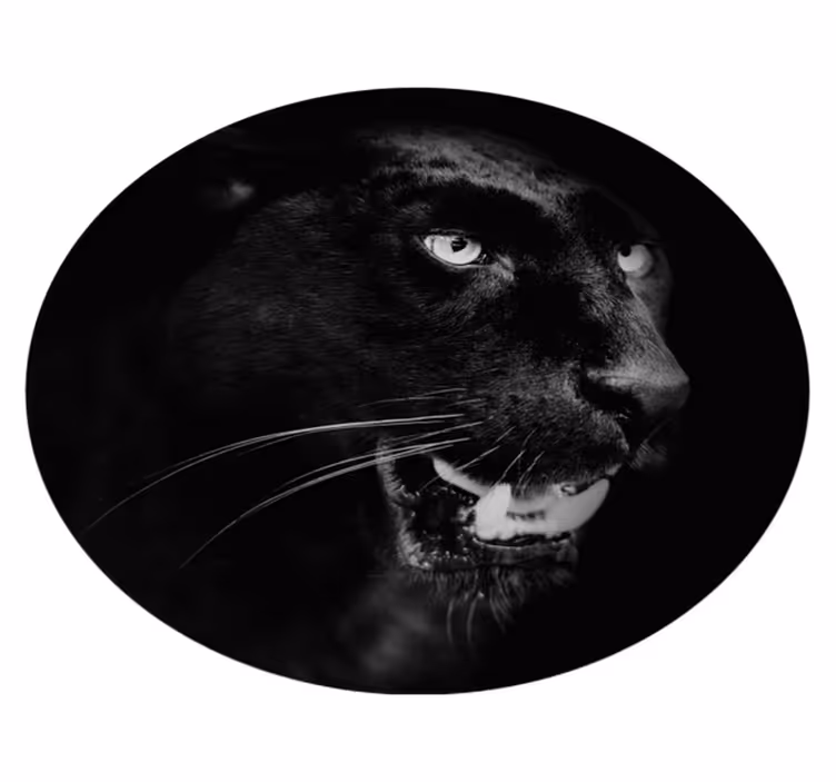 Vinylteppich Tiere Porträt des schwarzen panthers - TenStickers