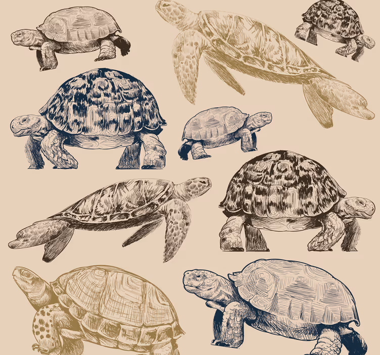 Tapete Tiere schildkrötensammlung - TenStickers