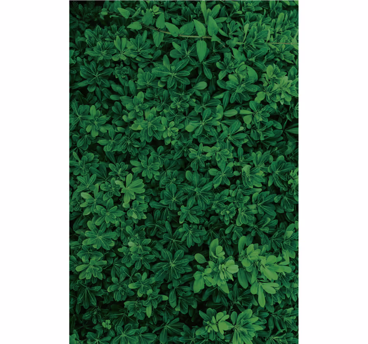 Tapete natur tiefgrüne natur - TenStickers