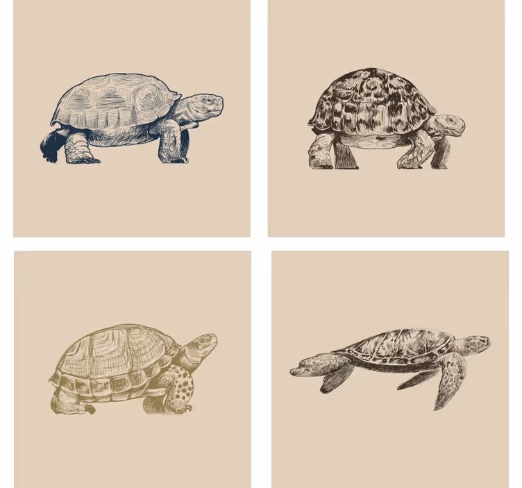 Tapete vintage schildkröten auf beigem hintergrund - TenStickers