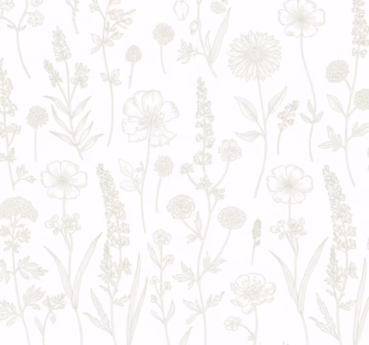 Tapete wohnzimmer botanischer skizzenpfad - TenStickers