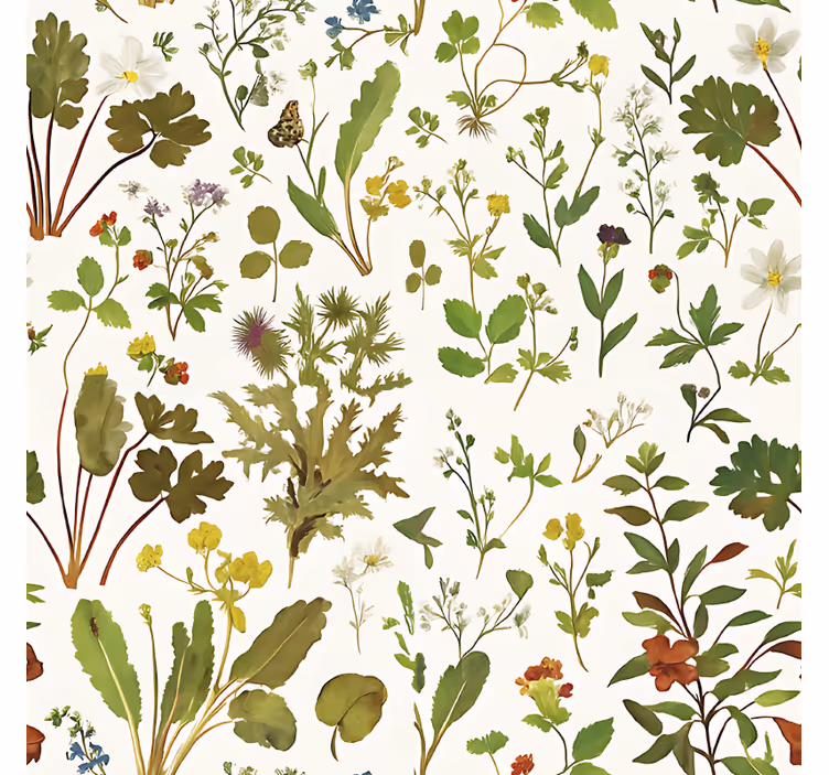 Tapete hochzeit botanisches design auf weißem hintergrund - TenStickers