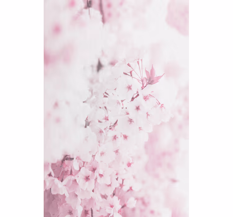 Blumentapete mit hellrosa blumenhintergrund - TenStickers