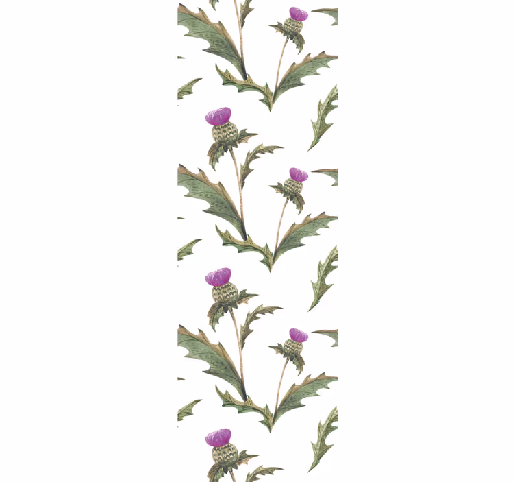 Blumentapete Schottische disteln - TenStickers