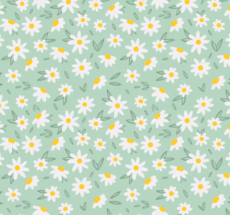 Fototapete Natur Gänseblümchen auf grünem Hintergrund - TenStickers