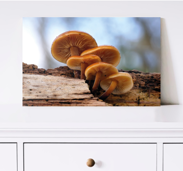 Orangenschalen-wildpilz-leinwand-kunstdrucke. Orangefarbene pilze, die im stamm eines baumes wachsen. Mit sofortigem versand erhalten.