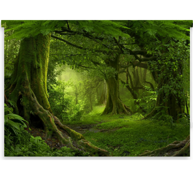 Rollo fenster baum grünes waldvergnügen - TenStickers