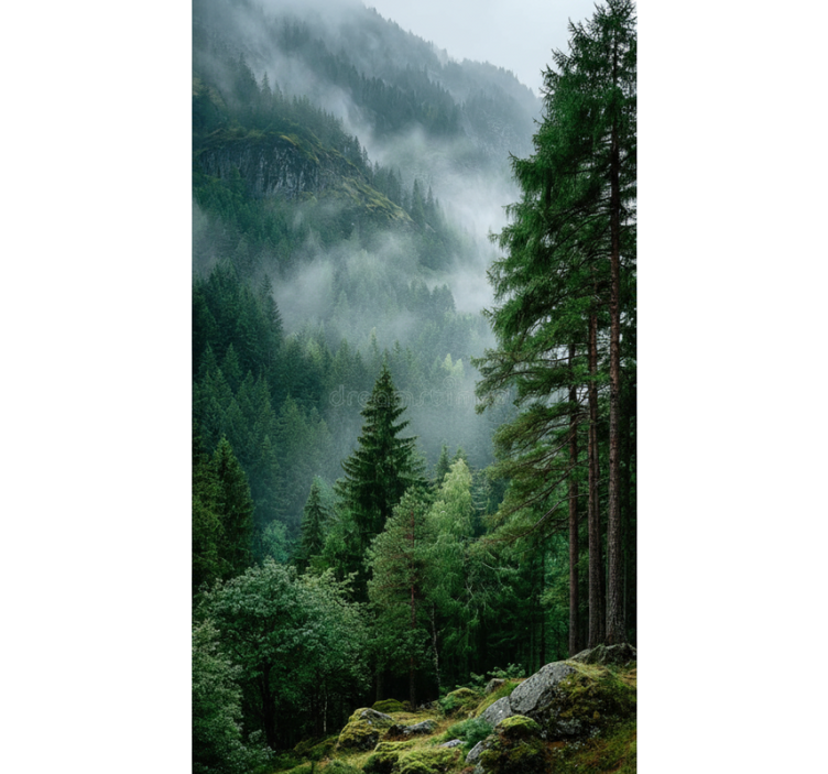 Rollo fenster baum die stimmungsvolle wahl - TenStickers