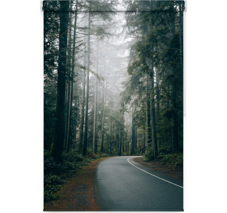 Rollo fenster baum nebeliger kieferweg - TenStickers