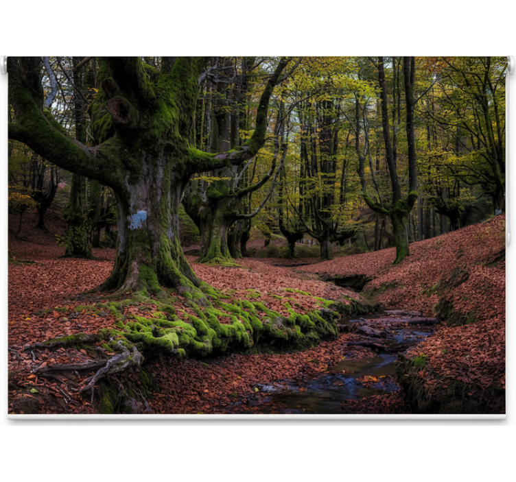 Rollo fenster baum verzauberter herbstwald - TenStickers