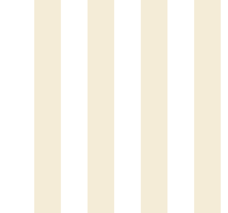 Rollo fenster beige in beiger farbe - TenStickers