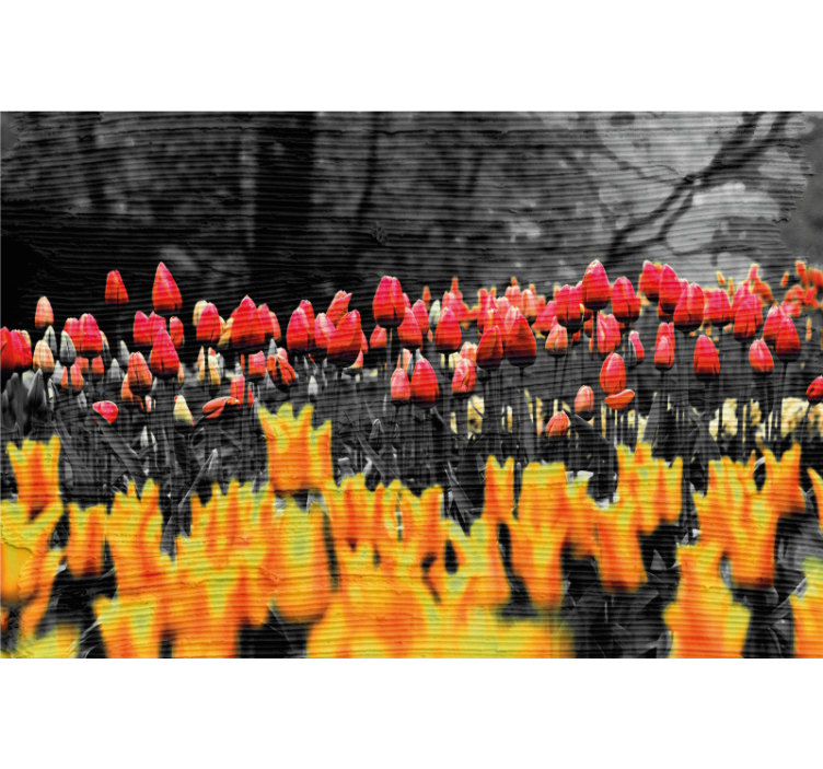 Rollo fenster wohnzimmer verschiedene blumenfelder - TenStickers