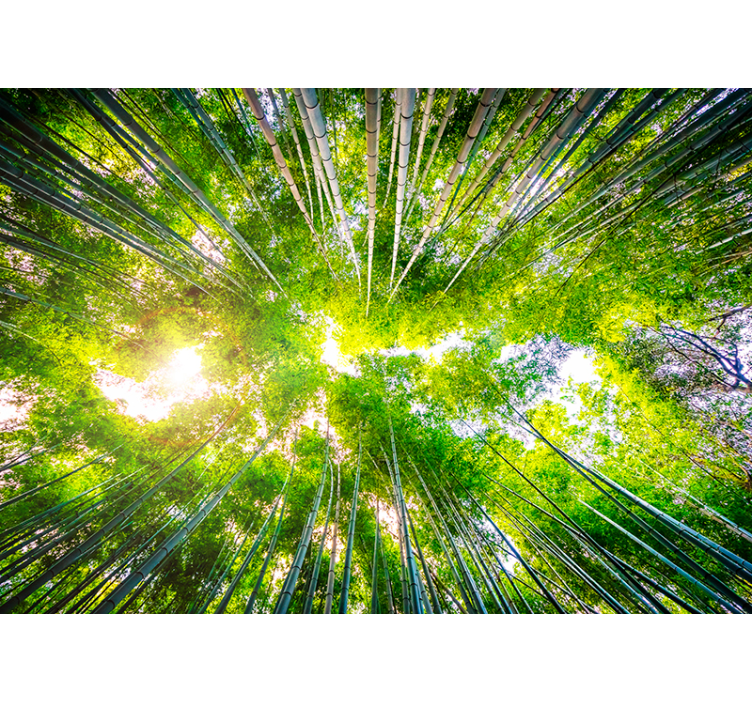 Rollo fenster wohnzimmer bambus deckenpaneel - TenStickers