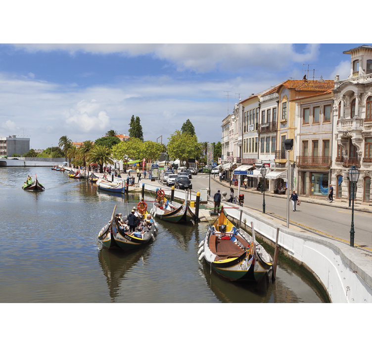 Rollo fenster wohnzimmer aveiro moliçeiro - TenStickers