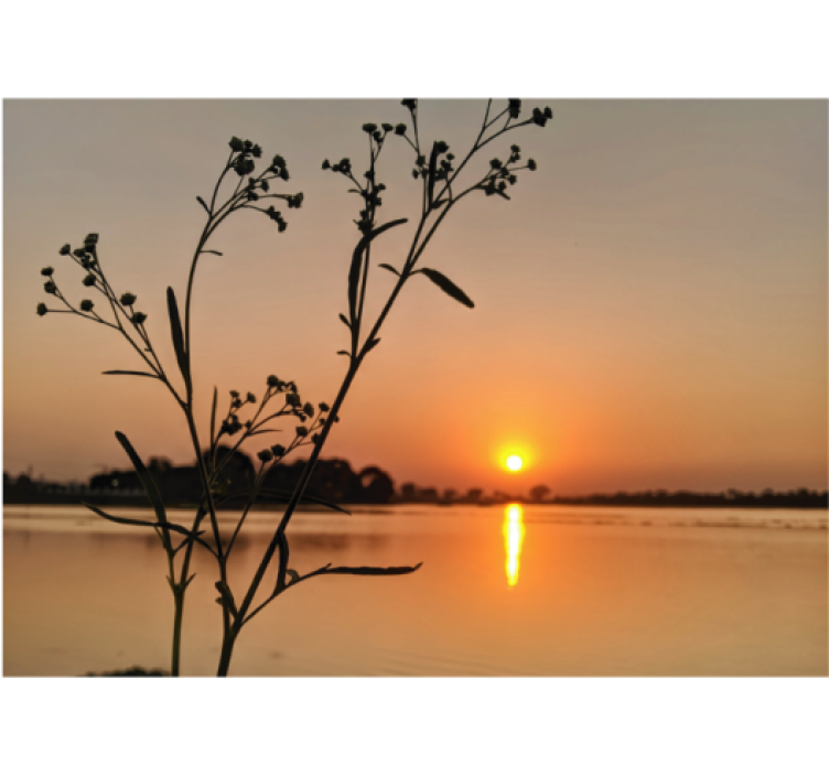 Rollo fenster wohnzimmer sonnenuntergang am see - TenStickers
